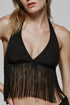Sarda Tau Top